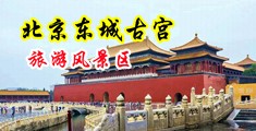 :成人男女在床上日屄屄的黄色视频中国北京-东城古宫旅游风景区